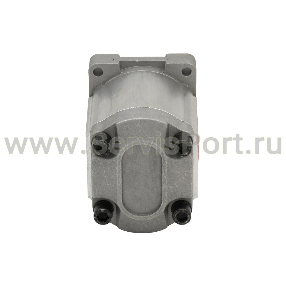 Насос в/д для гидростанции CBN-F310, 20MPa фото