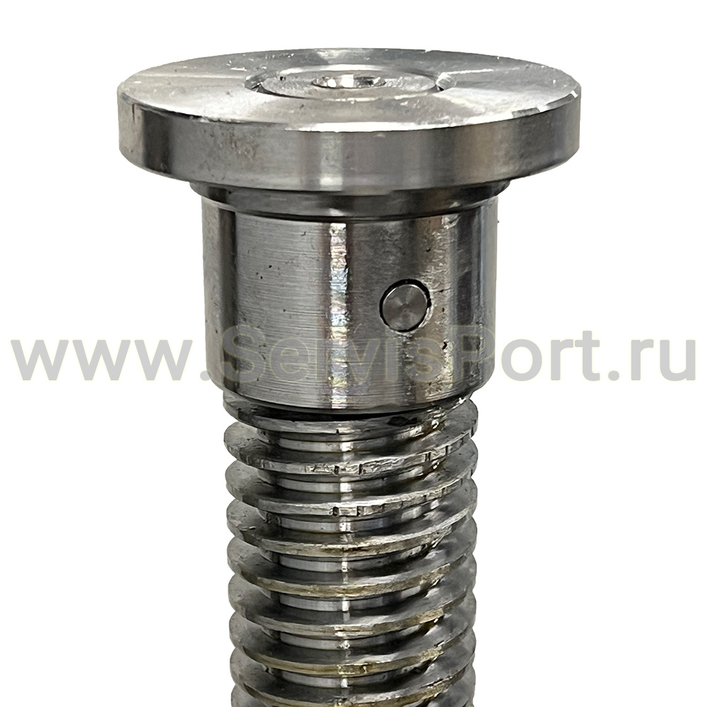 Винт П263-01 фото