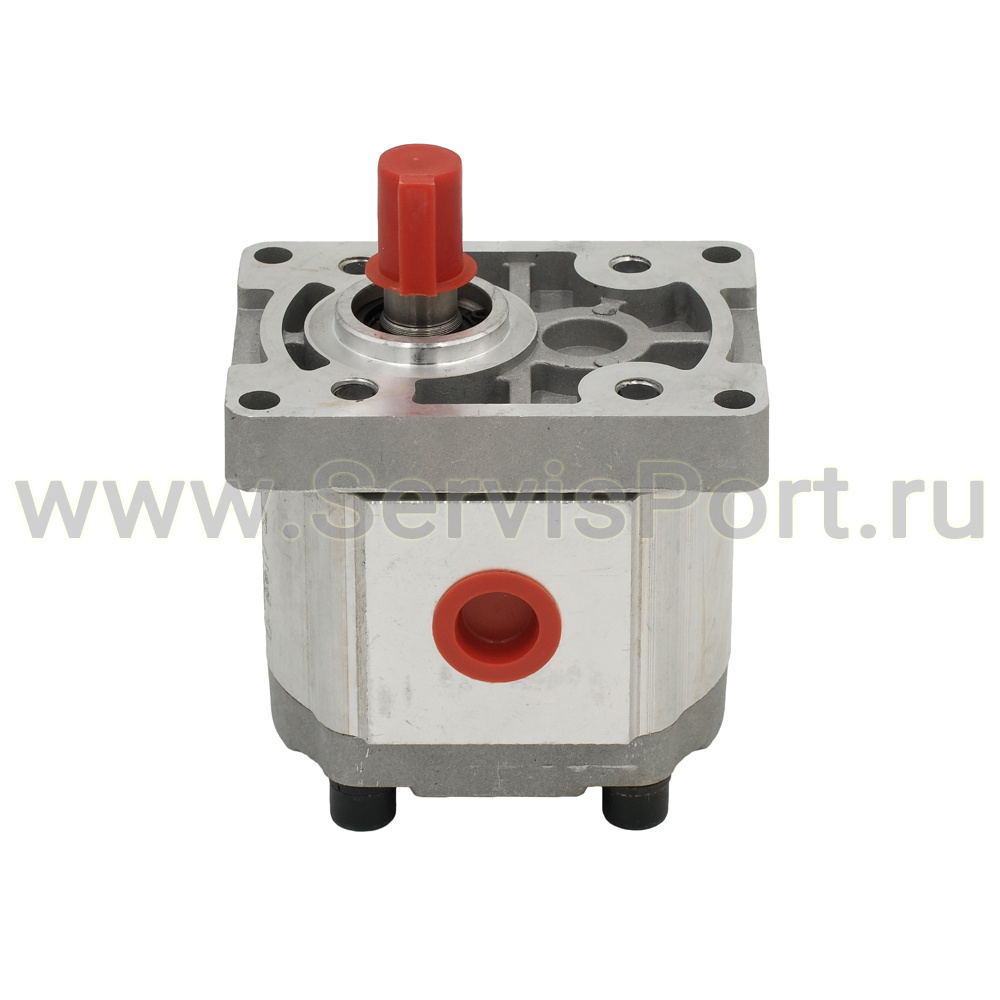 Насос в/д для гидростанции CBN-F310, 20MPa фото